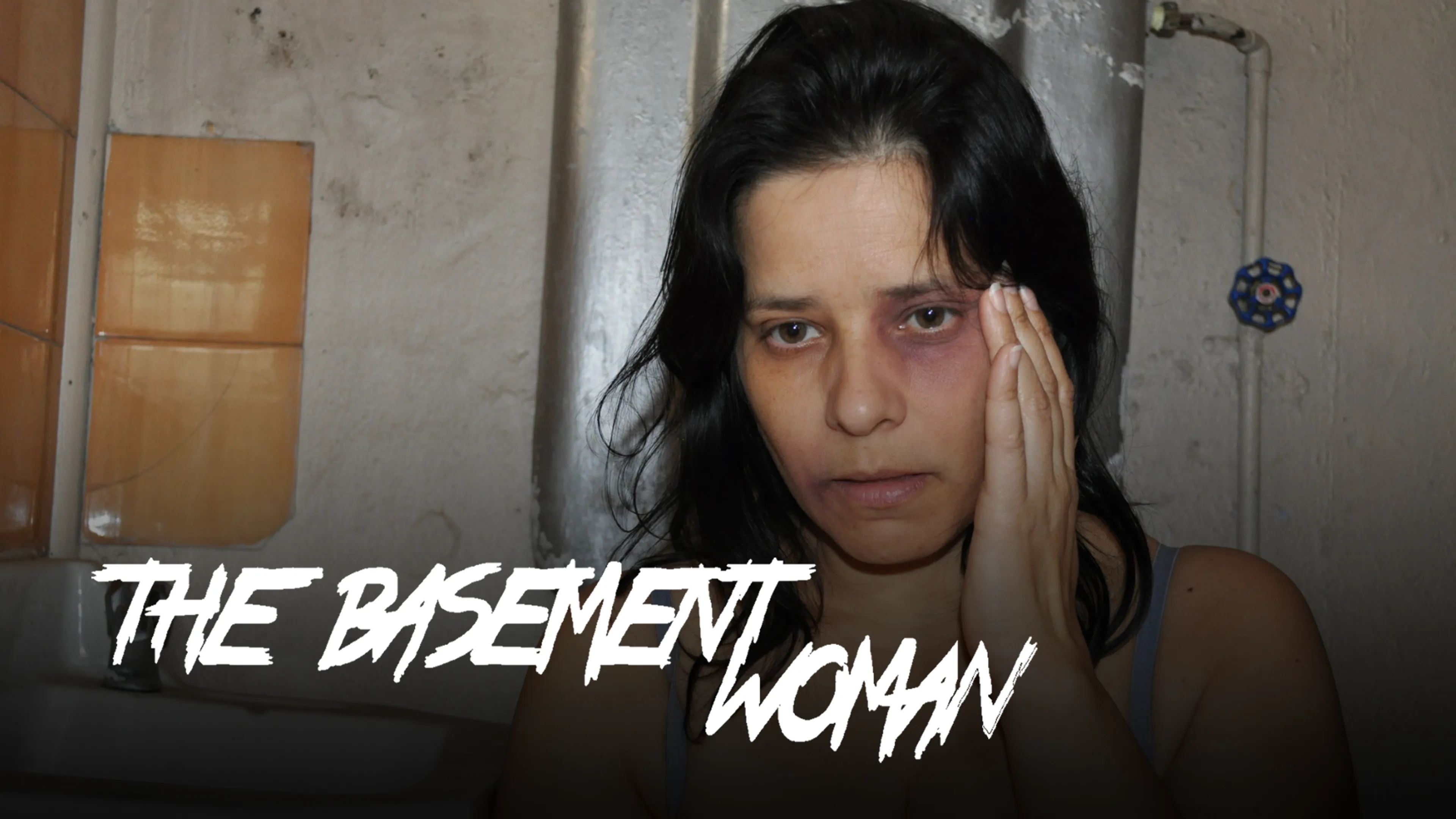 The Basement Woman poster